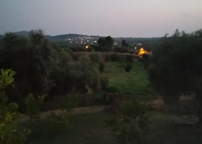 Kate\'S Family House